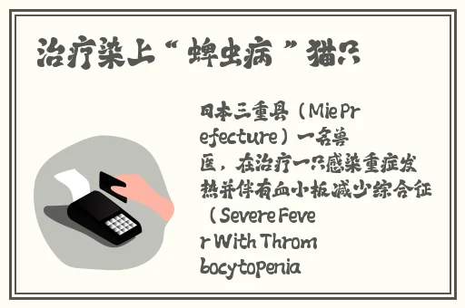 4399在线观看免费完整视频